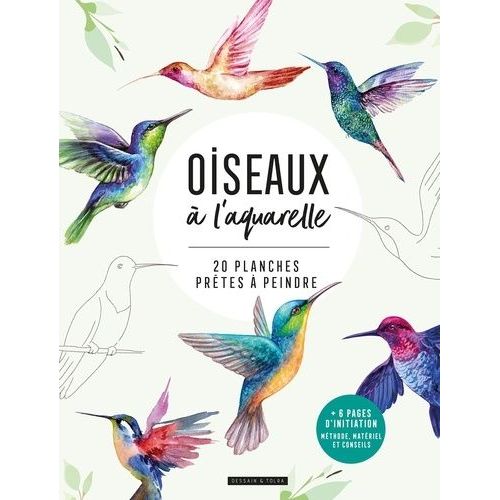 Oiseaux À L'aquarelle - 20 Planches Prêtes À Peindre