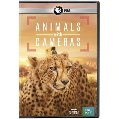 Nature: Animals With Cameras [Dvd]