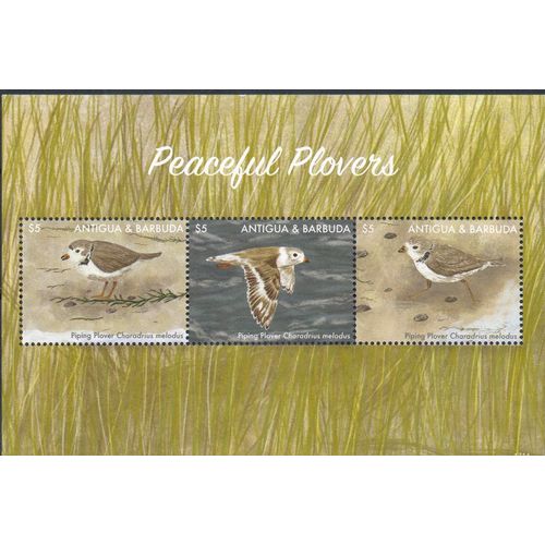 Antigua Y Barbuda Timbre Oiseau Le Pluvier 2015
