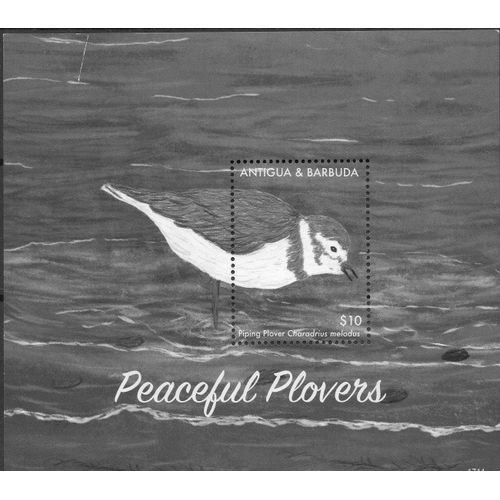 Antigua Y Barbuda Timbre Oiseau Le Pluvier 2015