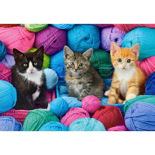 Chatons Dans Un Magasin De Laine - Puzzle 1000 Pièces