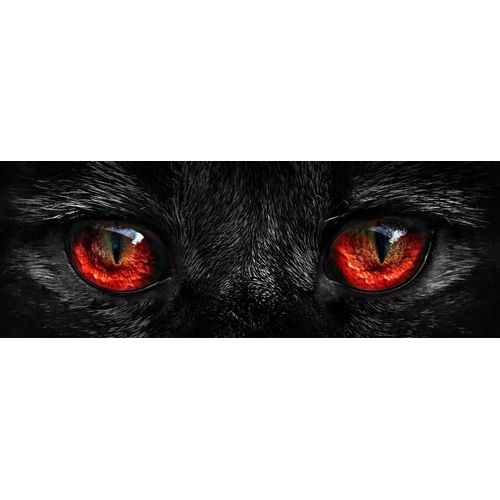 Yeux De Chat - Puzzle 1000 Pièces
