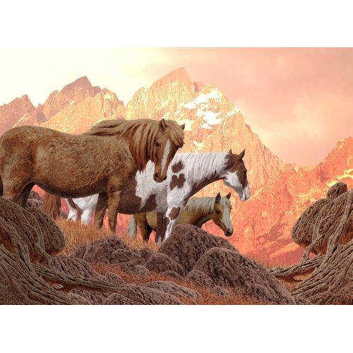 Chevaux Sauvages - Puzzle 1000 Pièces