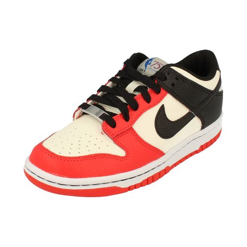 Nike Dunk Low Gs Trainers Do6288 100