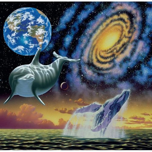Cosmic Seas - Puzzle 1000 Pièces