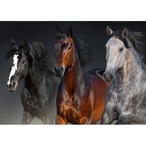 Trois Coeurs Nobles - Puzzle 1000 Pièces