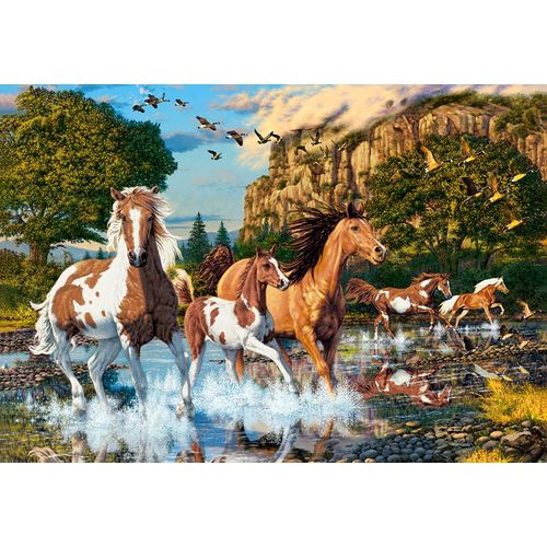 Horse Wonderland - Puzzle 1000 Pièces