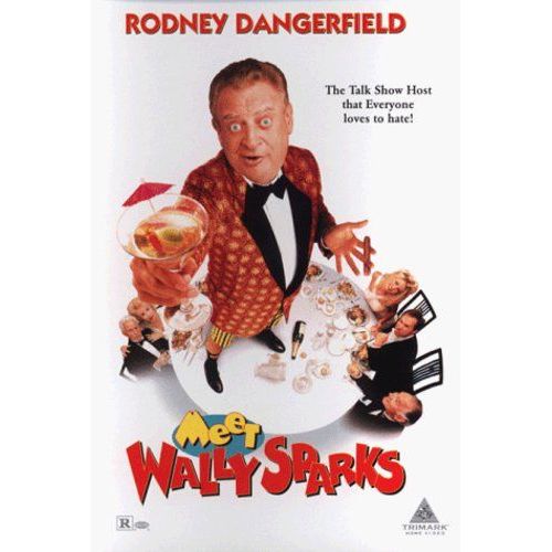 Meet Wally Sparks [Dvd]