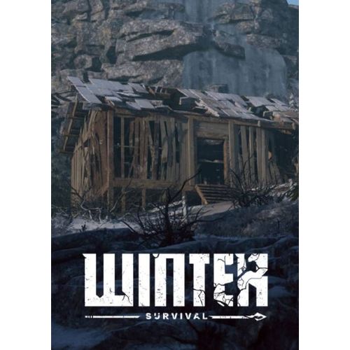 Winter Survival - Steam - Jeu En Téléchargement - Ordinateur Pc