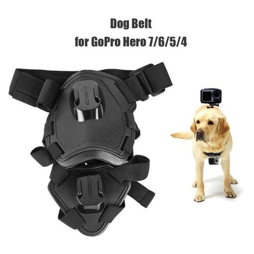 Harnais de caméra pour chien, accessoires pour la chasse, sangle de poitrine, adapté à la chasse, sac Gopro