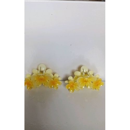 Grandes Pince Fleurs Jaunes