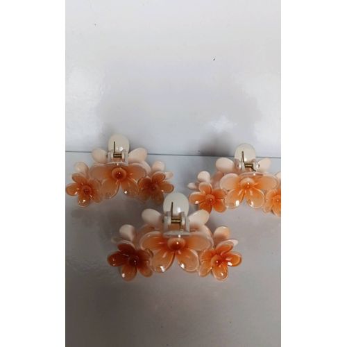 Grande Pinces Griffes Fleurs Abricot Orange