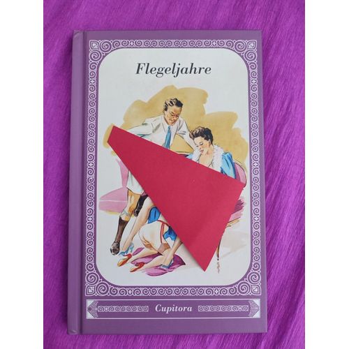 Flegeljahre 21 Illustrations Curiosa Érotique