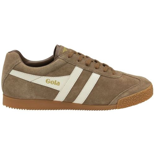 Harrier Suede