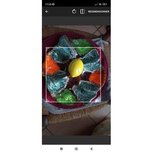 Plateau Fruits Vallauris Proposer Prix Raisonnable Svp Merci