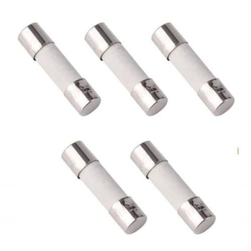 Celims France - Fusible en Céramique - Lot de 5 Pièces - 5mm x 20mm - Fusion Rapide - Fast - 250V - 10A
