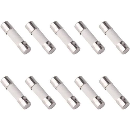 Celims France - Fusible en Céramique - Lot de 5 Pièces - 5mm x 20mm - Fusion Rapide - Fast - 250V - 5A
