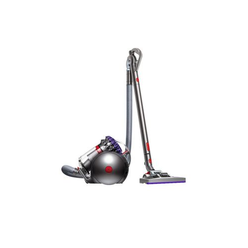 Dyson Big Ball Absolute 2