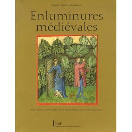 Enluminures Médiévales - Mémoires Et Merveilles De La Biblothèque Nationale De France
