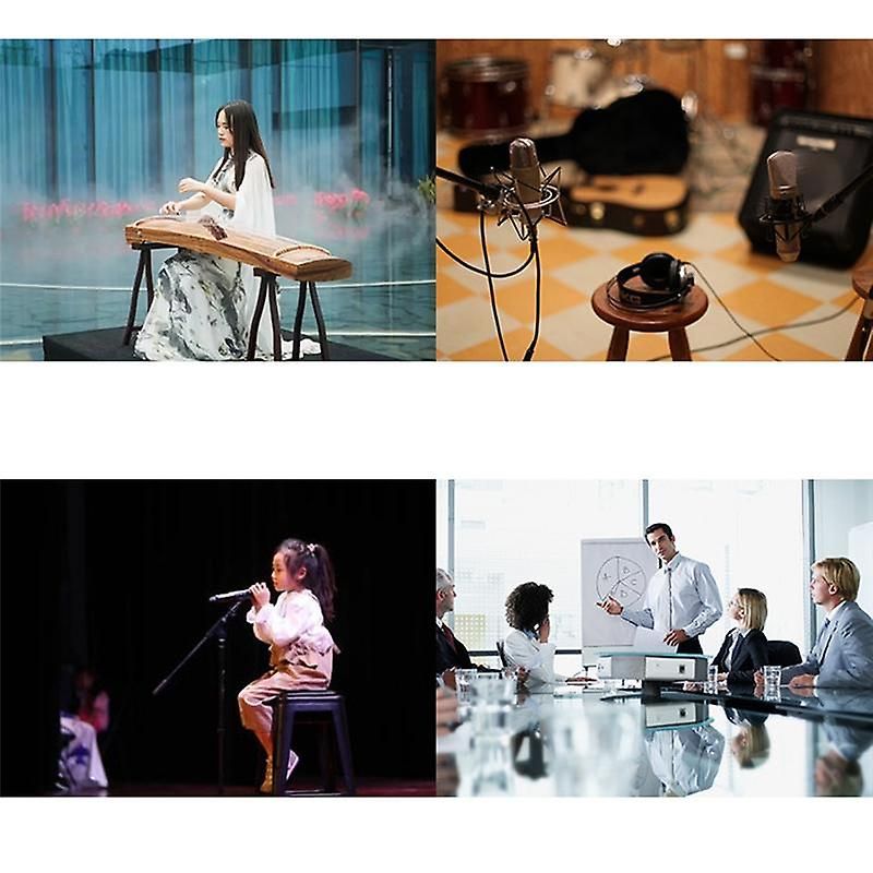 Universal Professional Condenser Microphone Mic Shock Mount ... - 2