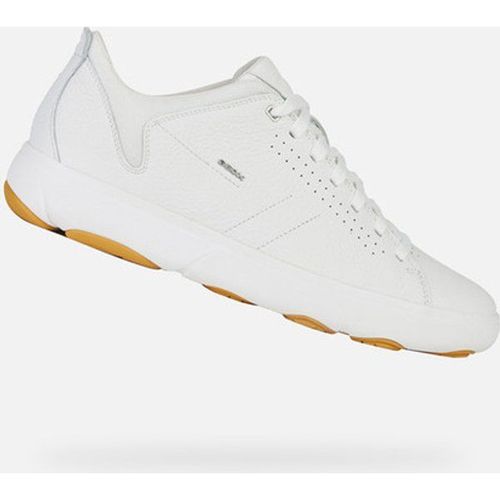Baskets Geox Nebula Y Blanc