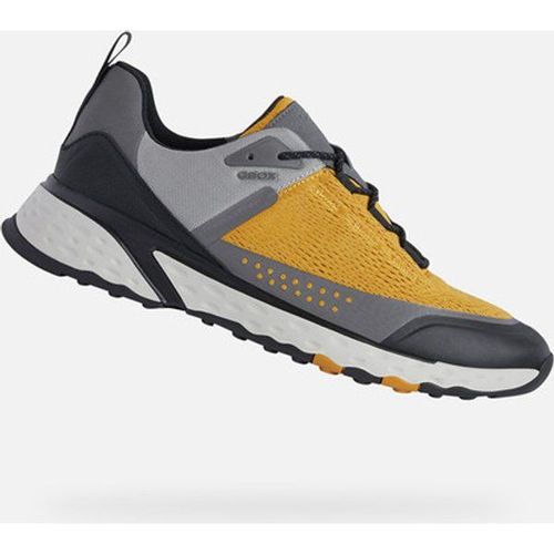 Baskets Geox Sterrato Gris