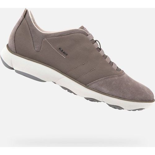 Baskets Geox Nebula Beige