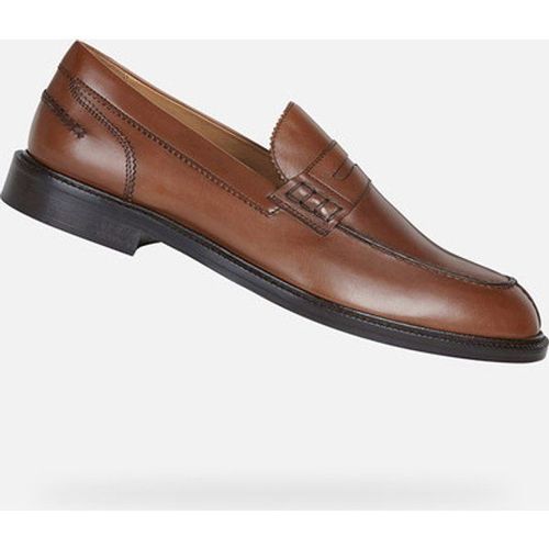 Mocassins Geox Artenova Marron