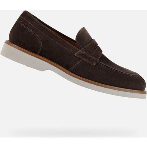 Mocassins Geox Gubbio Marron