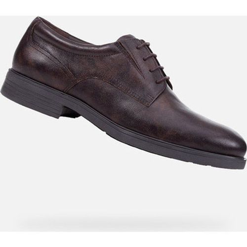 Derbies Geox Appiano Marron
