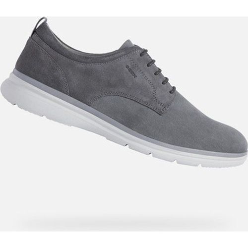 Baskets Geox Sirmione Gris
