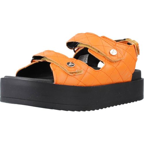 Yellow Coco Colour Orange