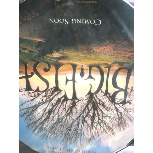 Big Fish - Tim Burton - Ewan Mc Gregor - 2003 - Autocollant Publicitaire Du Film 65 Cm