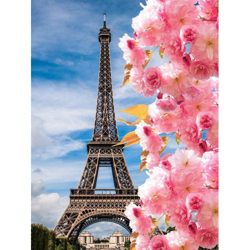 Momoart-Peinture Diamant Souvenirs De Paris,Art Diamant Carré Complet,Tour Eiffel,Mosaïque,Image De Strass,Paysage,Décoration Murale - Type 6606-Round Drill 45x60cm