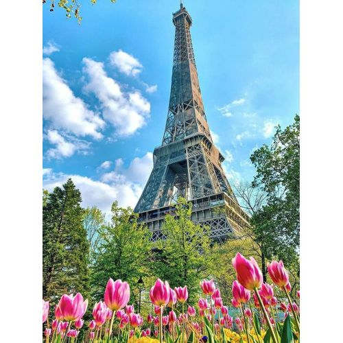 Momoart-Peinture Diamant Souvenirs De Paris,Art Diamant Carré Complet,Tour Eiffel,Mosaïque,Image De Strass,Paysage,Décoration Murale - Type 6611-Square Drill 40x50cm