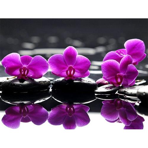 Mfun-Peinture Diamant ""Orchid Stone Candle"",Broderie Au Point De Croix,Perceuse Carrée Ou Ronde Complète,5d,Bricolage 3d,Cadeau De Décoration D'intérieur,Salle - Type Chocolat-Square Drill 20x25cm