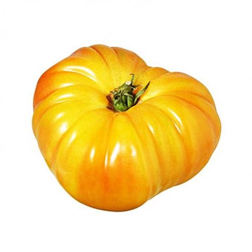 25 Graines De Tomate Ananas Méthode Bio Seeds Plantes Légumes Ancien Potager