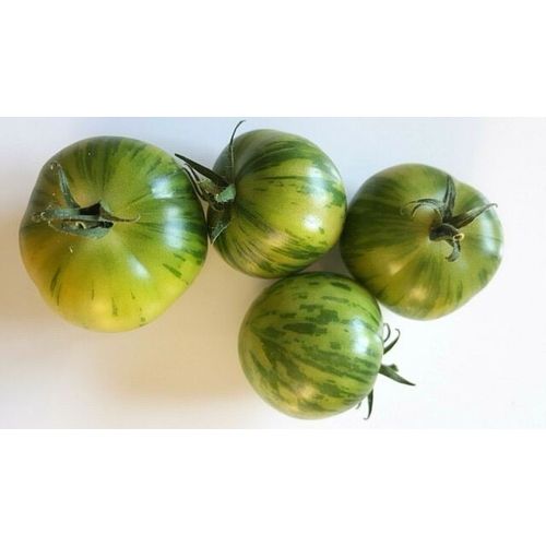 25 Graines De Tomate Cerise Green Zebra Méthode Bio Seeds Plantes Légumes