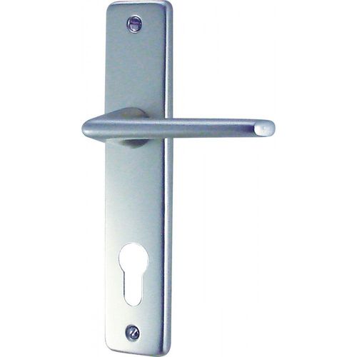 Poignée de porte Gets Aluminium argent DT 2000 - Clé I - cylindre