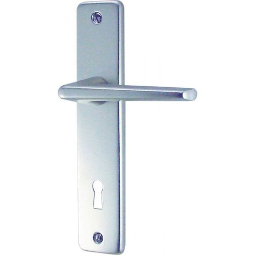 Poignée de porte Gets Aluminium argent DT 2000 - Clé L
