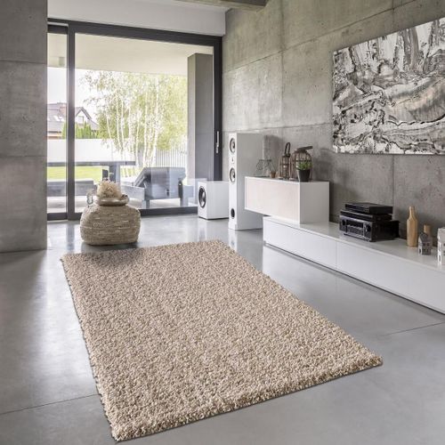 Tapis Longs Poils Shaggy 80x150 Rectangle Tissé Beige Motif Uni Simple