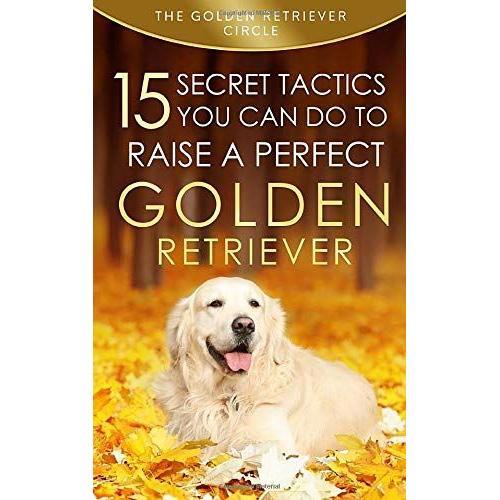 Golden Retriever: 15 Secret Tactics You Can Do To Raise A Perfect Golden Retriever