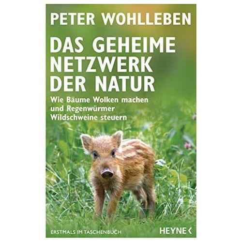 Das Geheime Netzwerk Der Natur