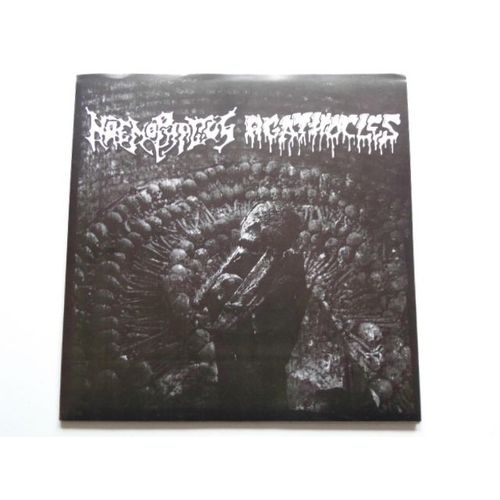 Haemophagus / Agathocles