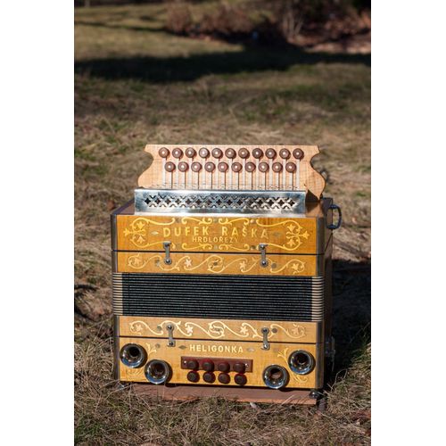Accordeon Diatonique La Ré Héligonka Neuf