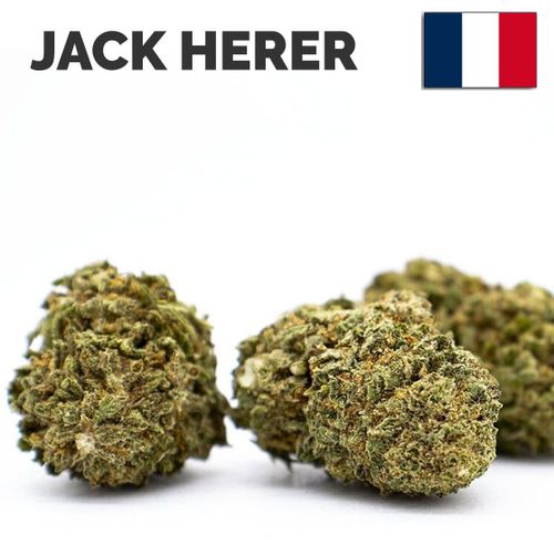 Fleur De Chanvre Jack Herer (10gr)