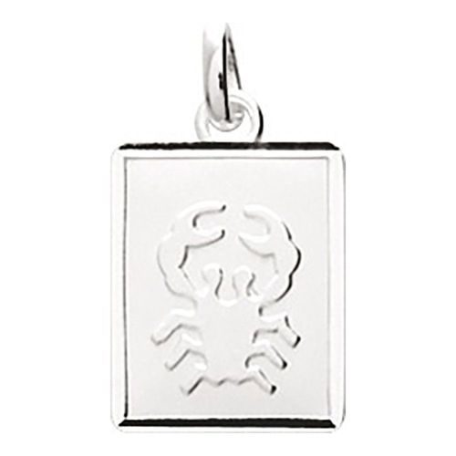 Pendentif Mixte - Argent 925 - Signe Astrologique - Scorpion