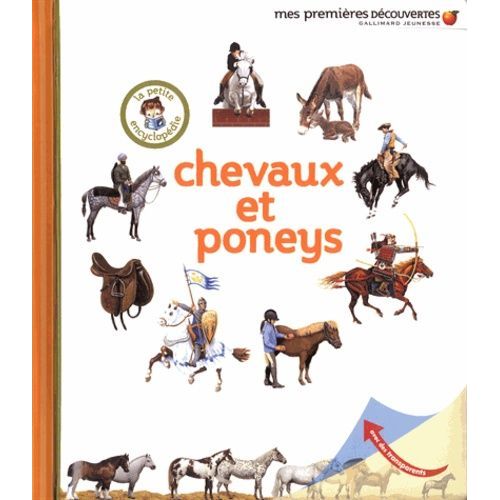 Chevaux Et Poneys
