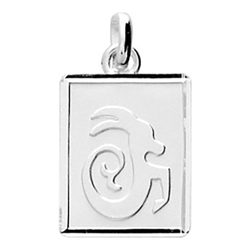 Pendentif Mixte - Argent 925 - Signe Astrologique - Capricorne