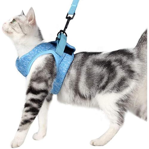 Harnais Et Laisse Pour Chat Ultra-Léger Col Chaton Doux Et Confortable Veste De Marche Pour Chat Course À Pied, Antifuite Convient Pour Chiots Lapins (Bleu, S)